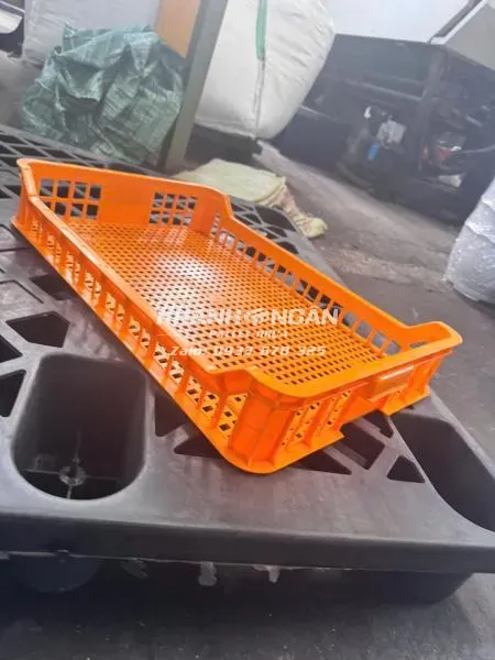 Khay cấp đông 1T Kích thước 610x420x100mm