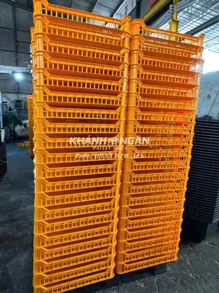 Khay cấp đông 1T Kích thước 610x420x100mm